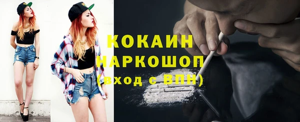 тгк Новосибирск