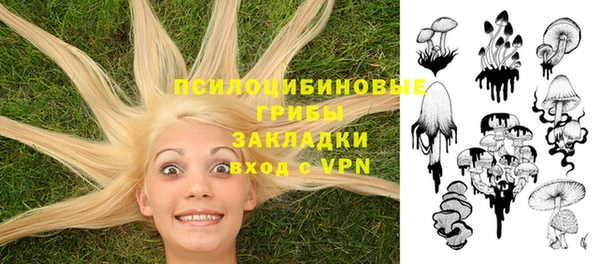 стафф Магас