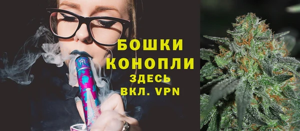 ПСИЛОЦИБИНОВЫЕ ГРИБЫ Липки