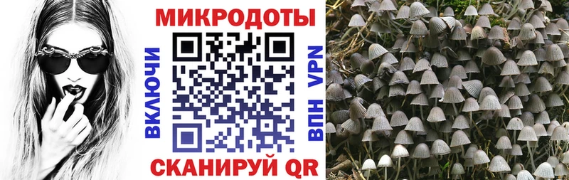 Купить закладки  Кедровый  Галлюциногенные грибы мухоморы 